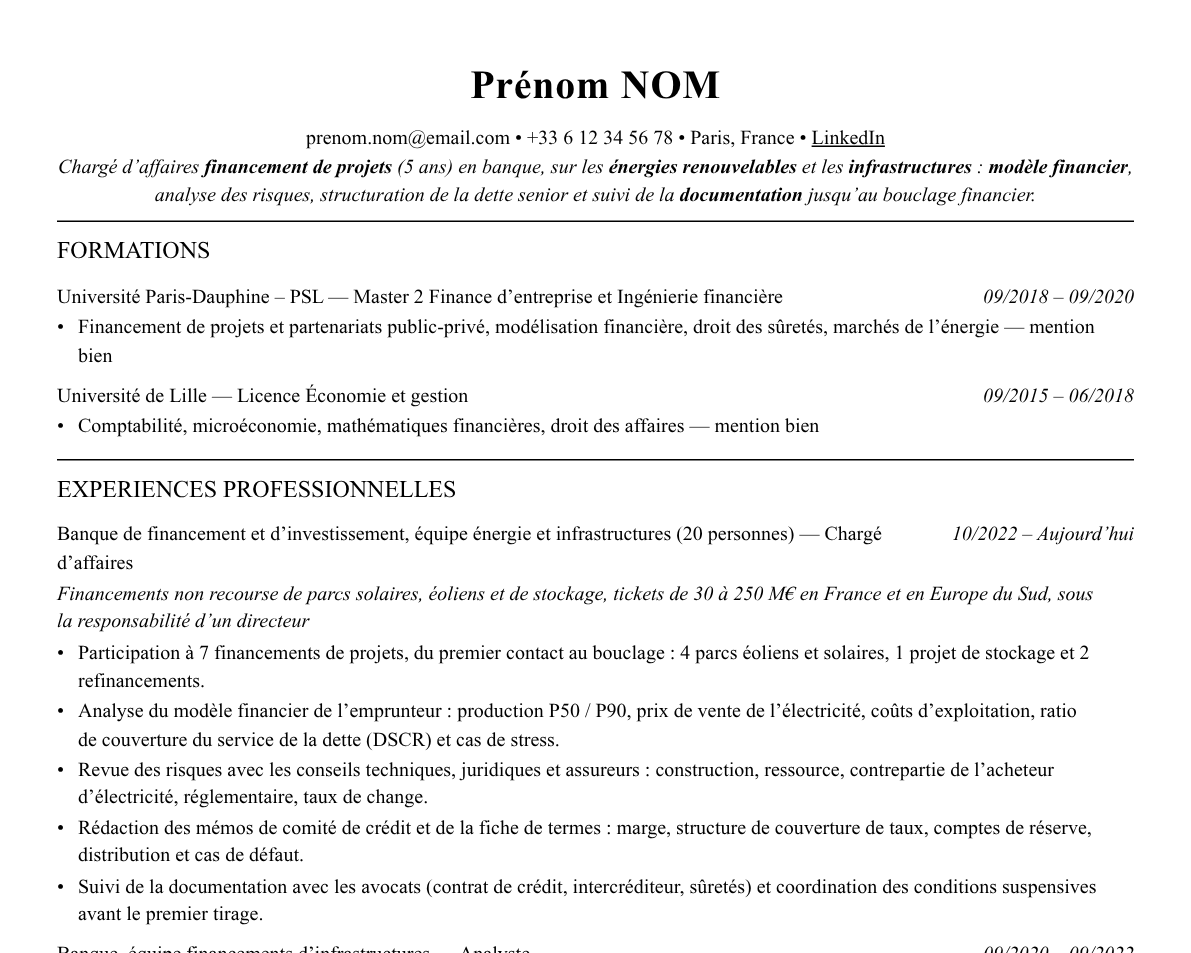 Aperçu : Exemple de CV Financement de projets
